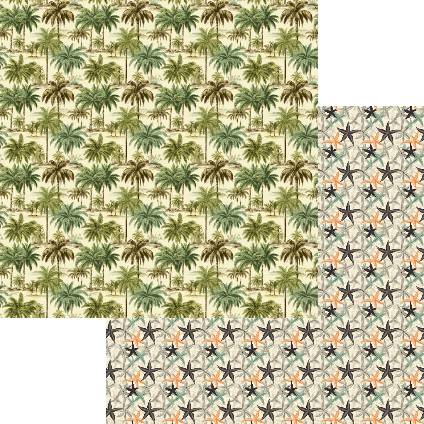 Beach Party Collection Palm Trees 12 x 12 Double-Sided Scrapbook Paper by SSC Designs - 15 Pack