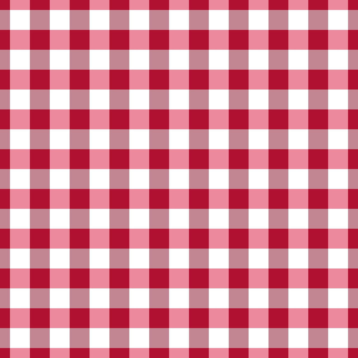 Christmas Patterns Collection Checked 12 x 12 Double-Sided Scrapbook Paper by SSC Designs