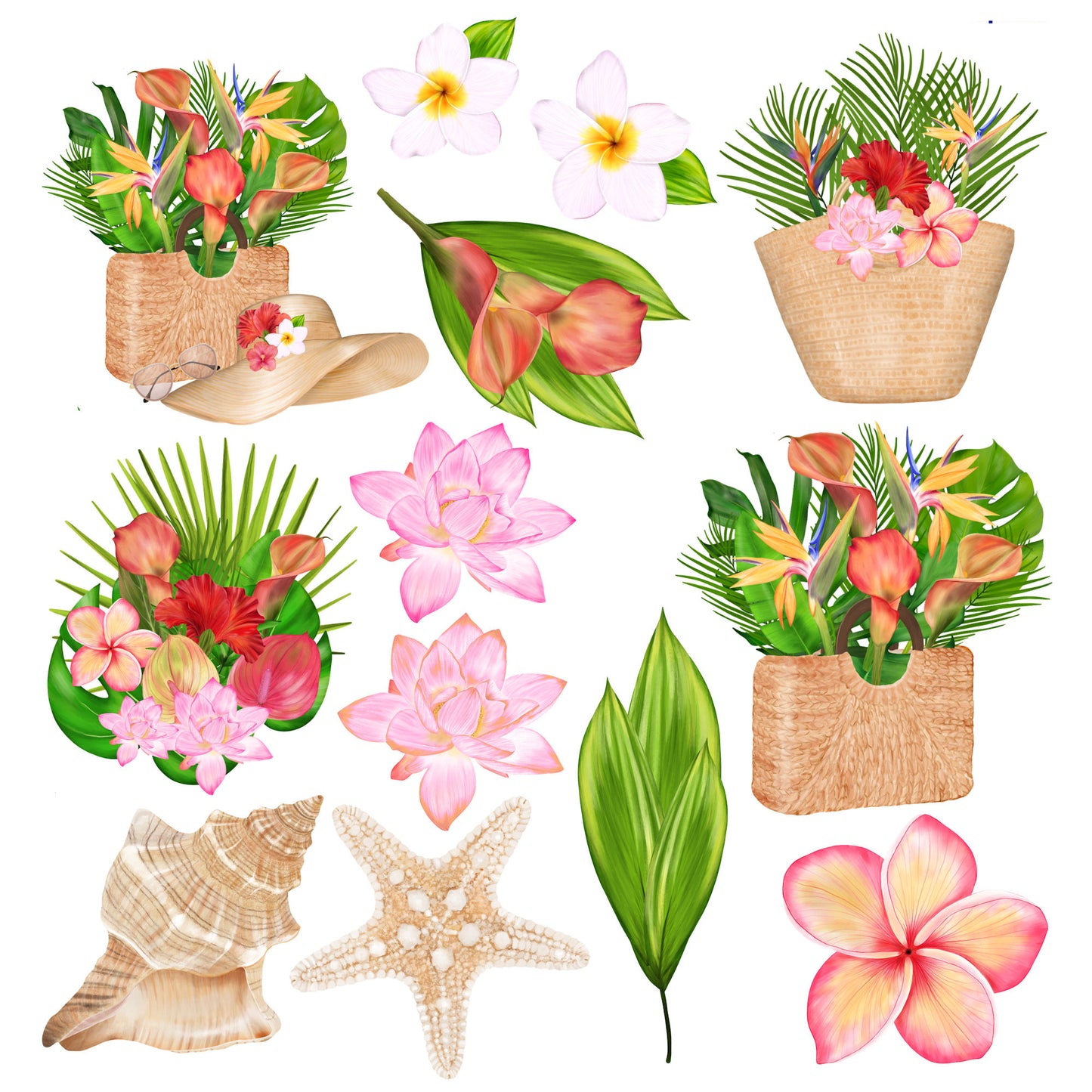 Exotic Tropics Collection Laser Cut Ephemera Embellishments - 3 Packs