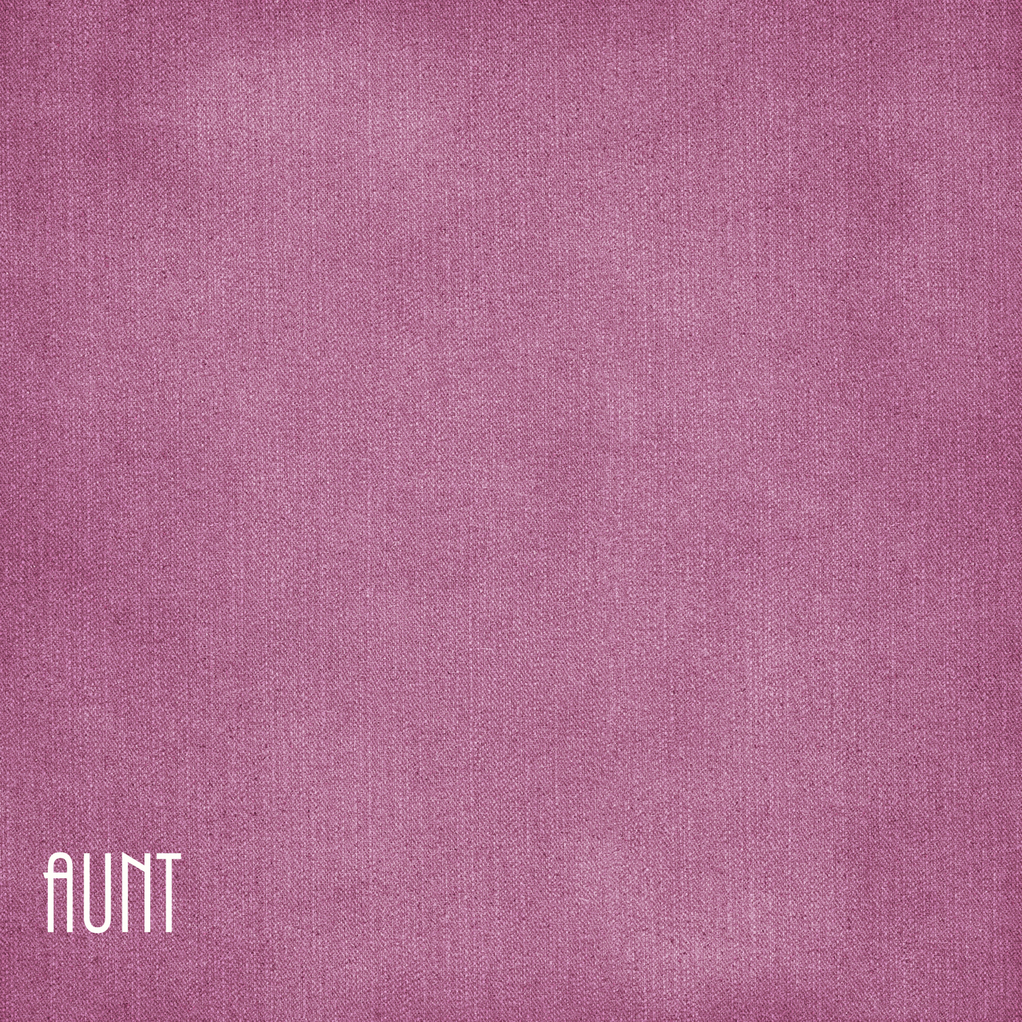 Family Collection Aunt 12 x 12 Double-Sided Scrapbook Paper by SSC Designs - 15 Pack