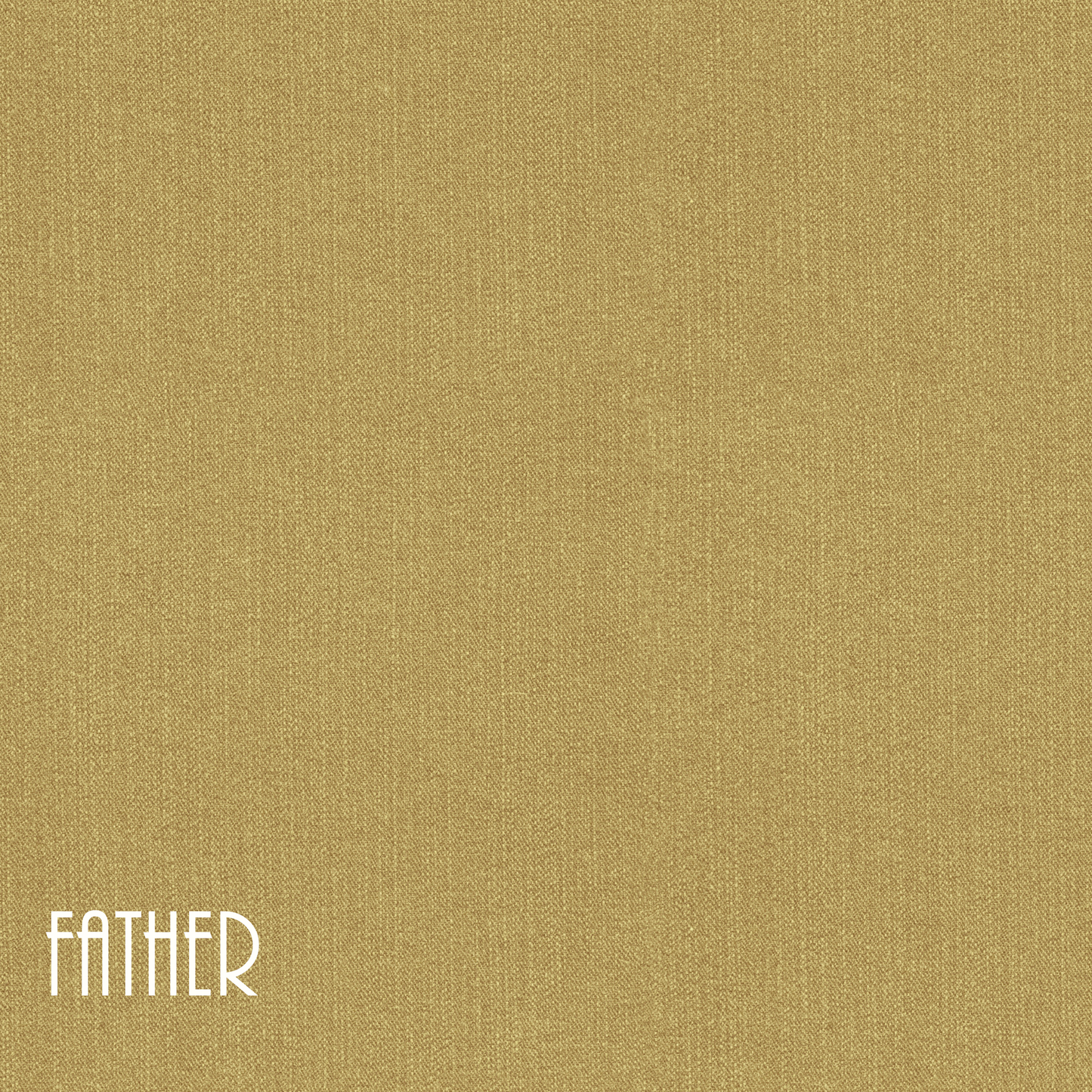 Family Collection Father 12 x 12 Double-Sided Scrapbook Paper by SSC Designs - 15 Pack