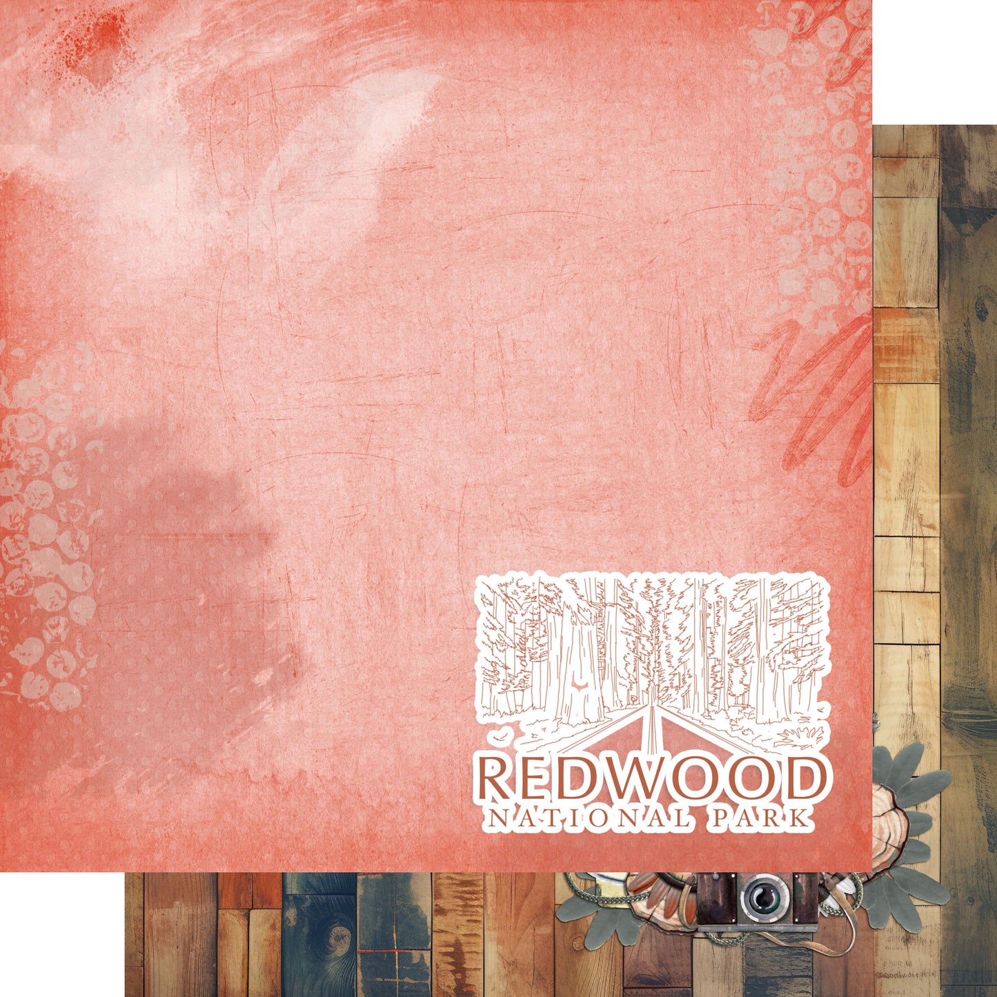 National Parks Collection Redwood National Park 12 x 12 Double-Sided Scrapbook Paper by SSC Designs - 15 Pack