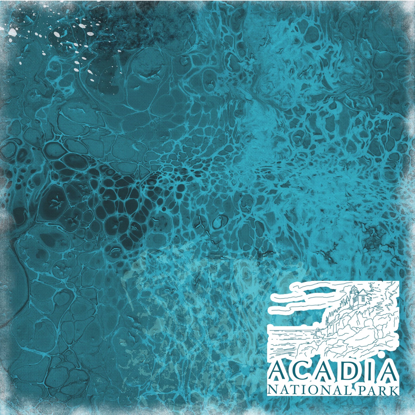 National Parks Collection Acadia National Park 12 x 12 Double-Sided Scrapbook Paper by SSC Designs - 15 Pack