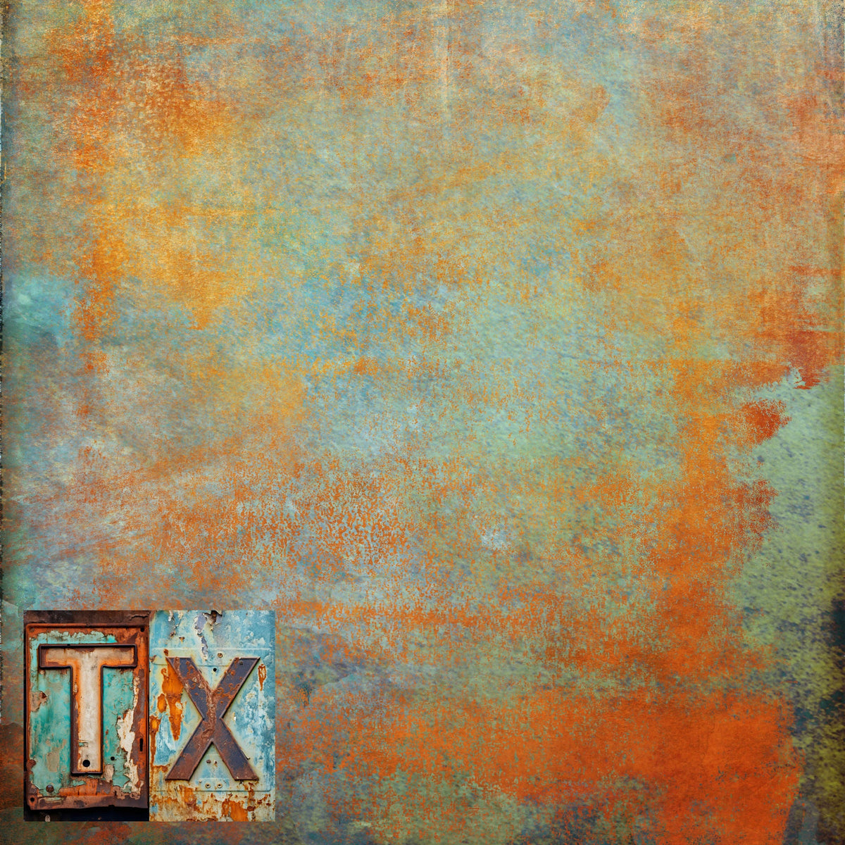 State Plates Collection Texas 12 x 12 Double-Sided Scrapbook Paper by SSC Designs