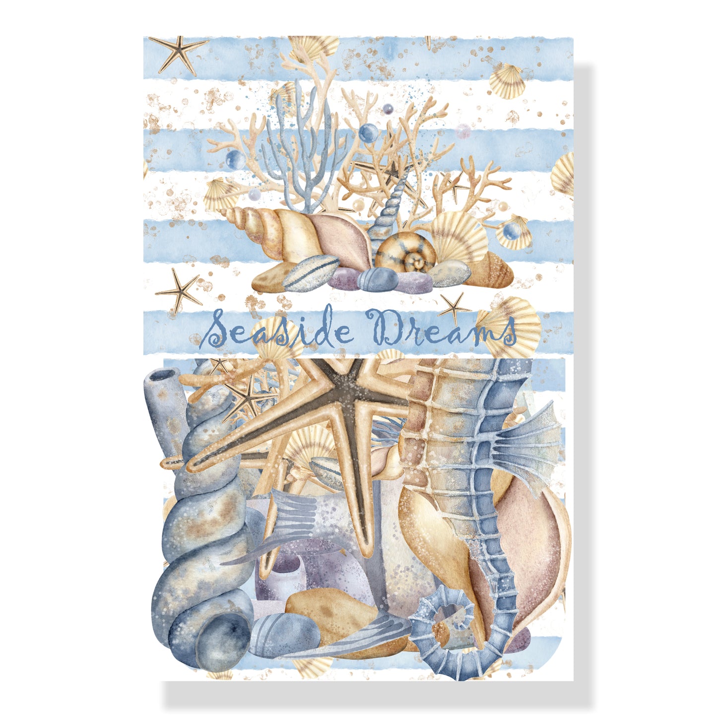 Seaside Dreams Collection Laser Cut Scrapbook Ephemera Embellishments by SSC Designs - 3 Packs