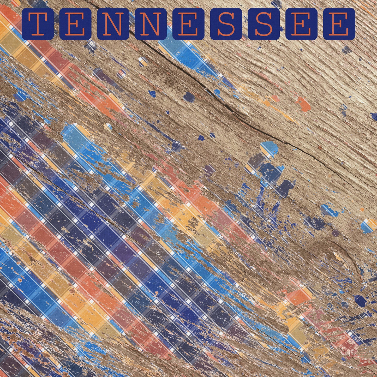 Tennessee Collection Tennessee Wood 12 x 12 Double-Sided Scrapbook Paper by SSC Designs - 15 Pack