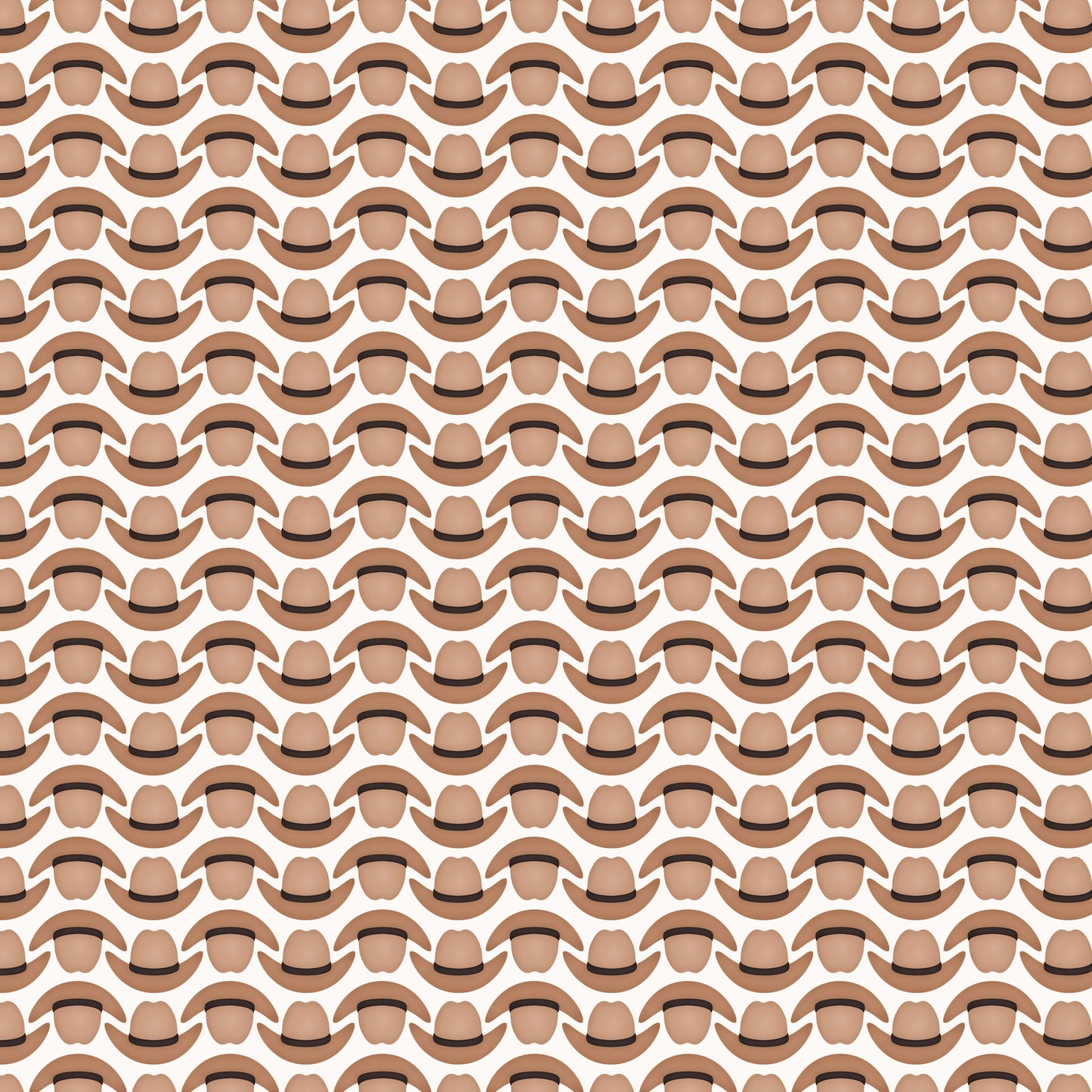 Texas Collection Cowboy Hats 12 x 12 Double-Sided Scrapbook Paper by SSC Designs - 15 Pack