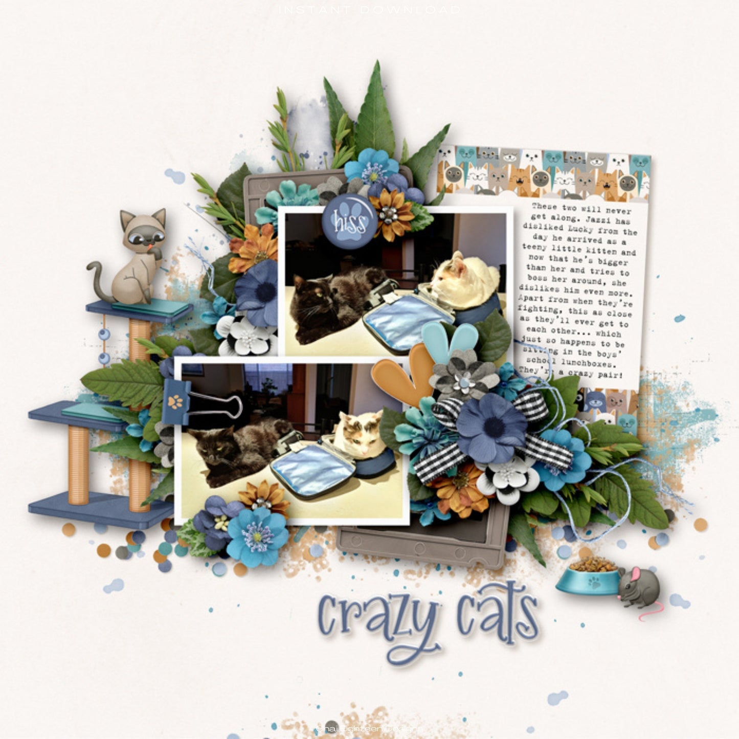 Cat Lover 12 x 12 Scrapbook Paper & Embellishment Kit by SSC Designs - 3 Kits