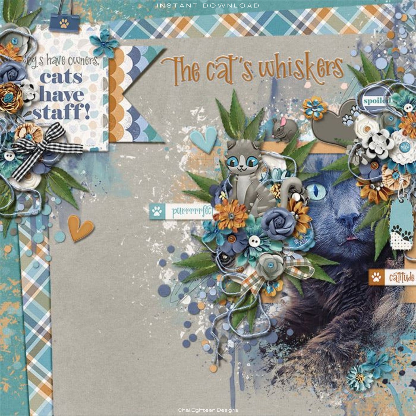 Cat Lover Collection Laser Cut Scrapbook Ephemera Embellishments by SSC Designs - 3 Packs