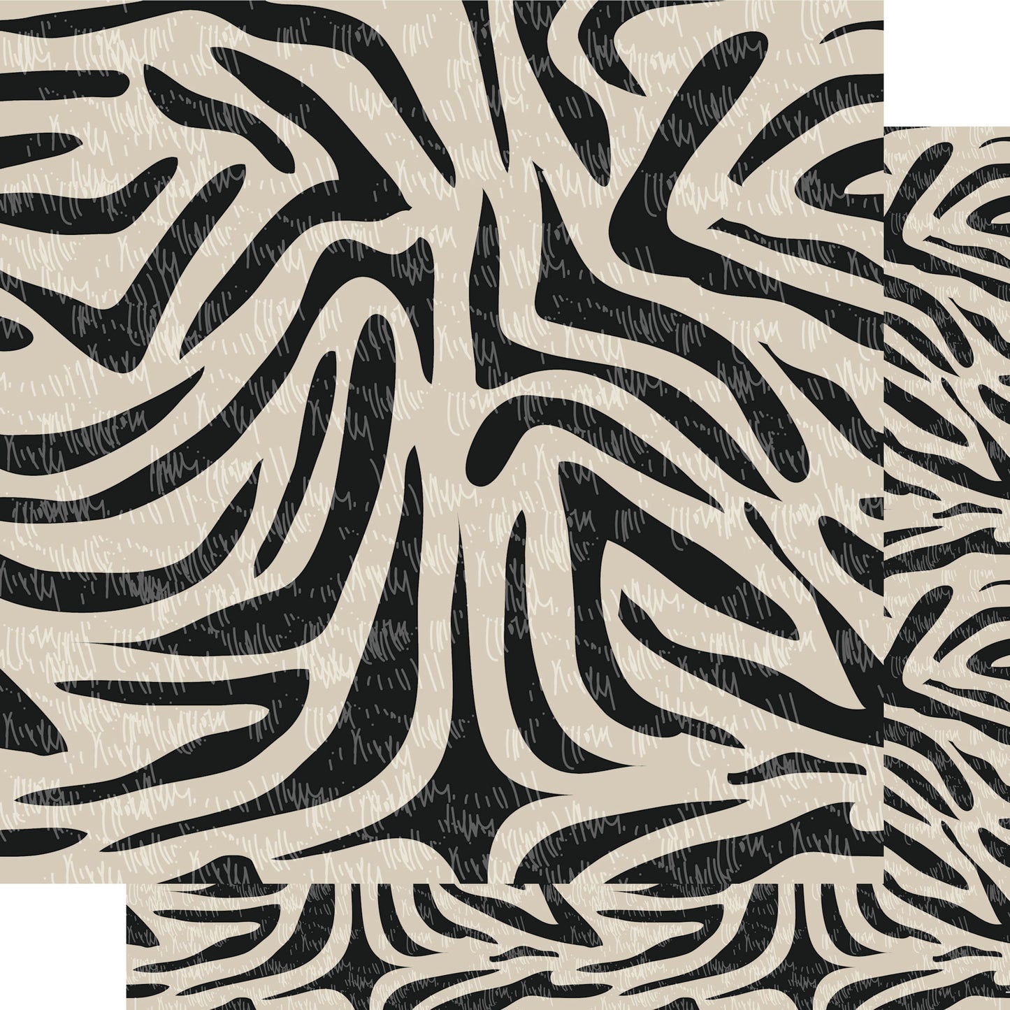 Animal Safari Collection Zebra Stripes 12 x 12 Double-Sided Scrapbook Paper by SSC Designs - 15 Pack
