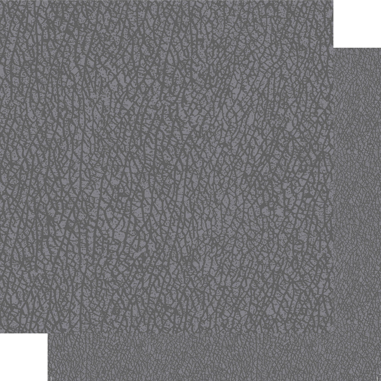 Animal Safari Collection Elephant Skin 12 x 12 Double-Sided Scrapbook Paper by SSC Designs - 15 Pack