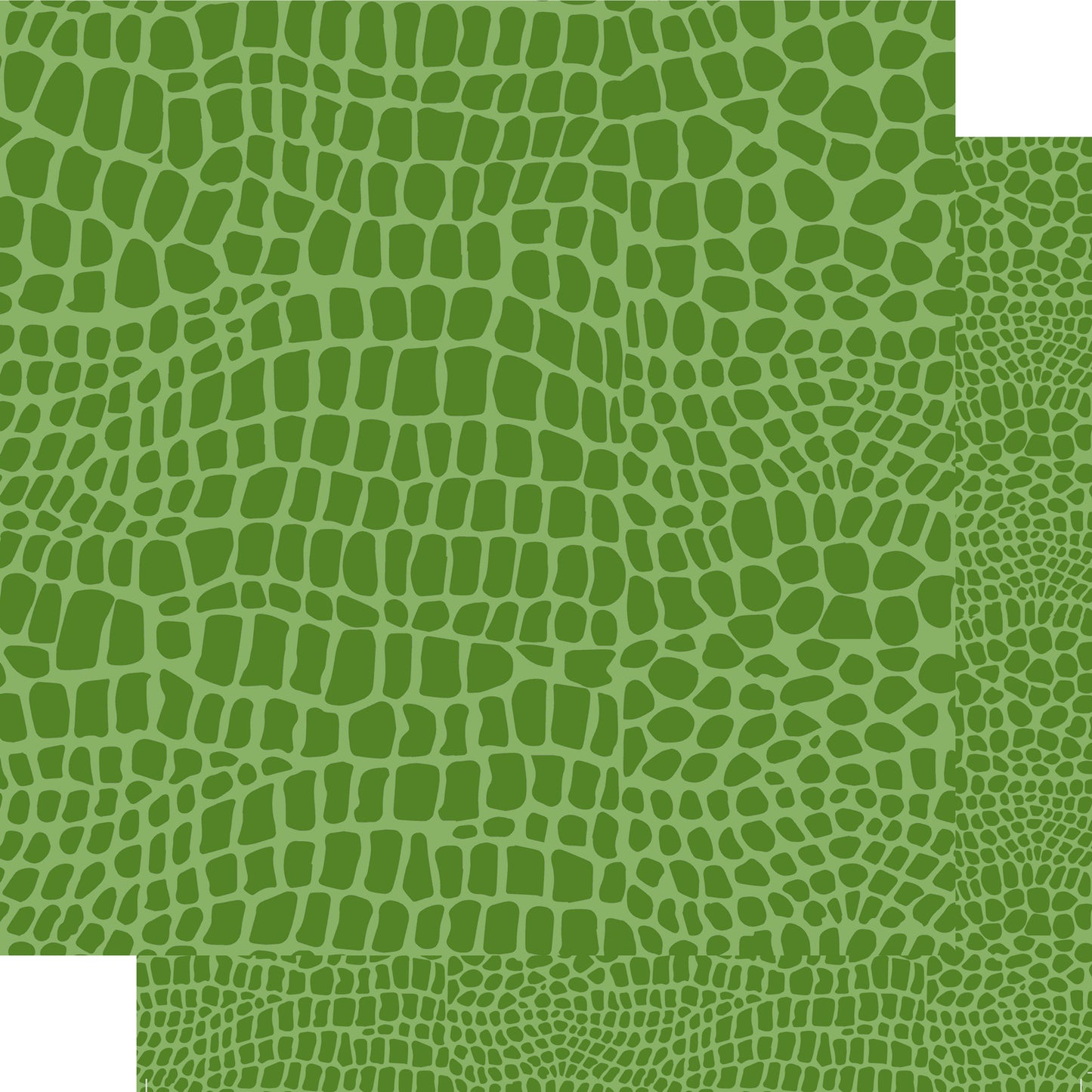 Animal Safari Collection Reptile Scales 12 x 12 Double-Sided Scrapbook Paper by SSC Designs - 15 Pack