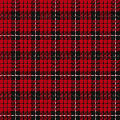 Buffalo Plaid Christmas Mini Collection Reindeer 12 x 12 Double-Sided Scrapbook Paper by SSC Designs