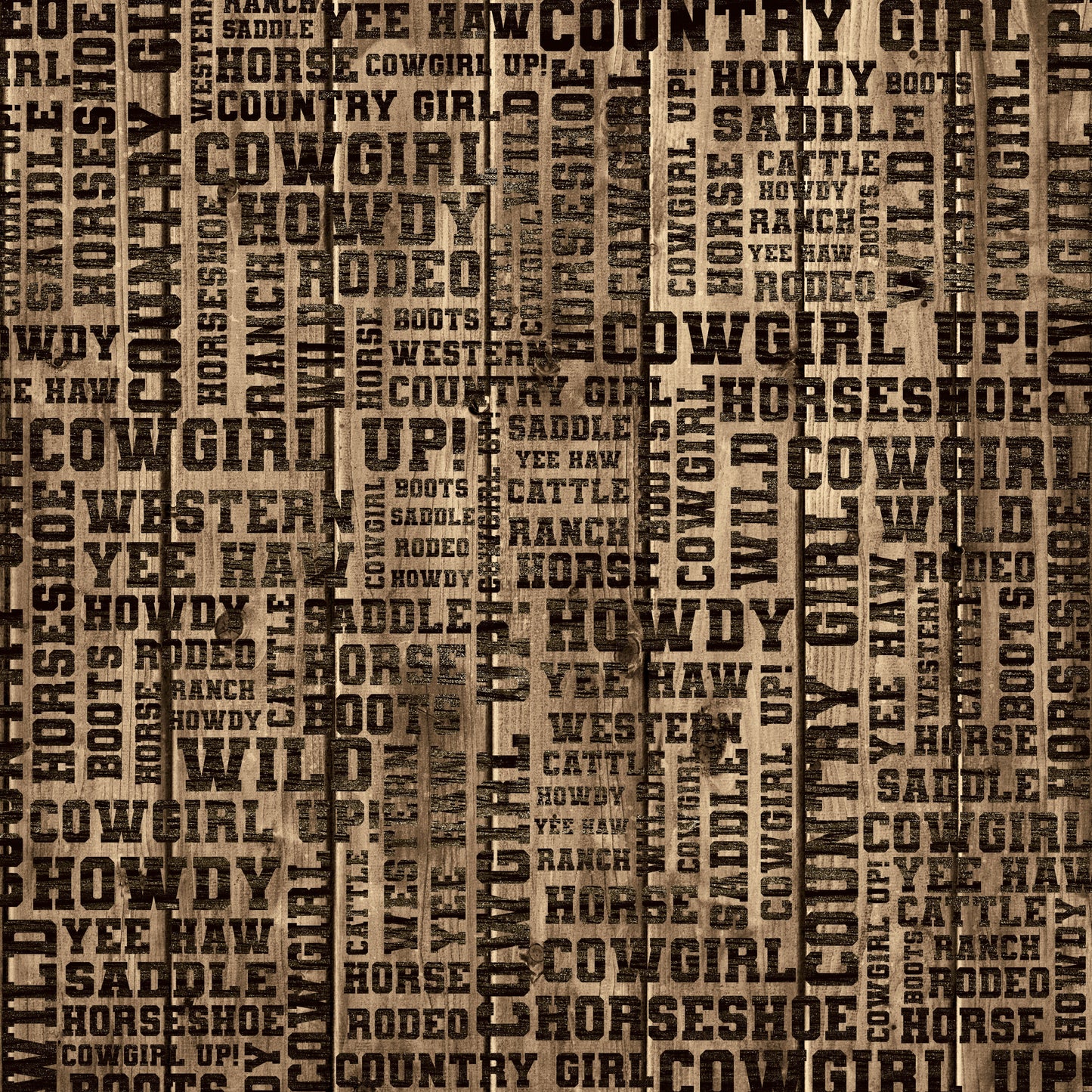 Cowgirls Collection Hot Horseshoe 12 x 12 Double-Sided Scrapbook Paper - 15 Pack