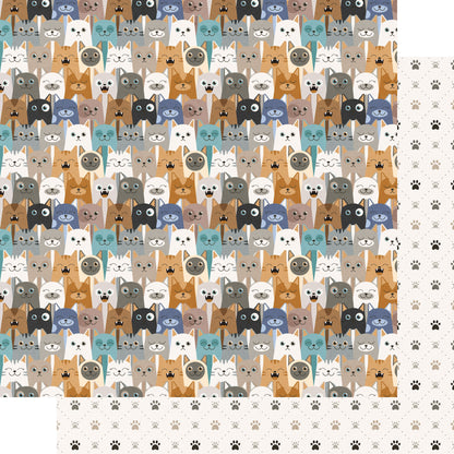 Cat Lover Collection Playful Purrs 12 x 12 Double-Sided Scrapbook Paper by SSC Designs - 15 Pack