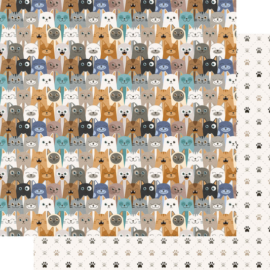 Cat Lover Collection Playful Purrs 12 x 12 Double-Sided Scrapbook Paper by SSC Designs - 15 Pack