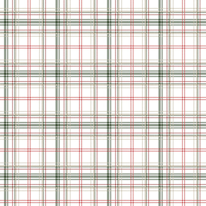 Merry Woofmas Collection Bring Me Bones 12 x 12 Double-Sided Scrapbook Paper by SSC Designs - 15 Pack