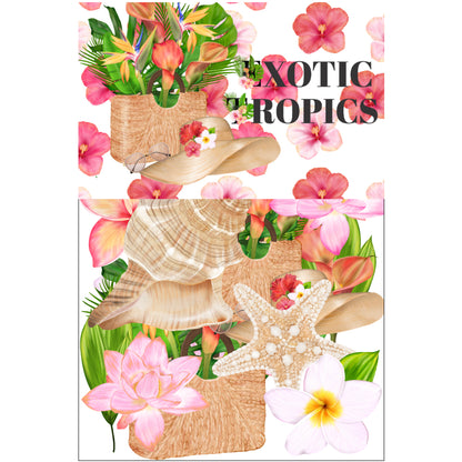 Exotic Tropics 12 x 12 Scrapbook Paper Pack & Embellishment Kit - 3 Kits