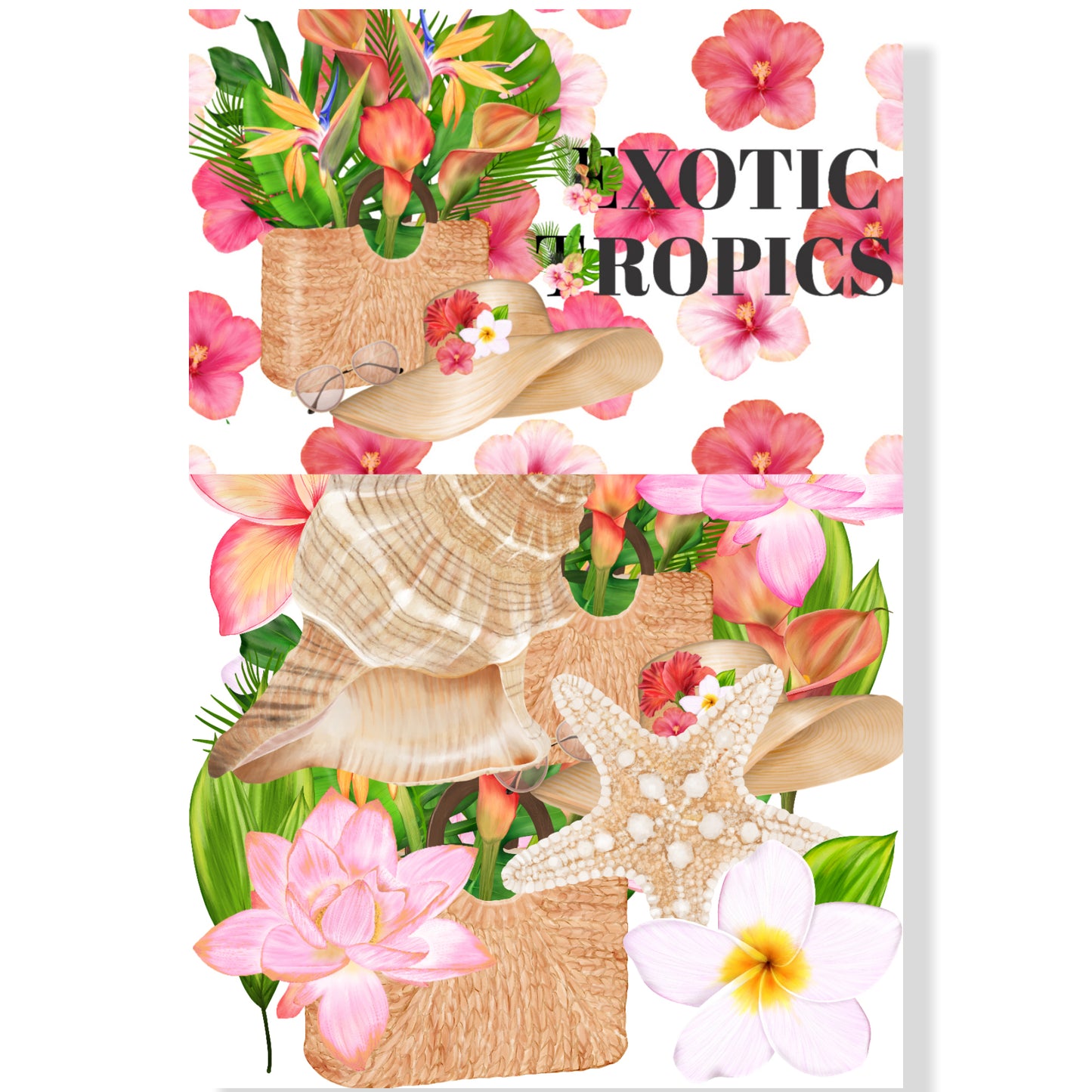 Exotic Tropics 12 x 12 Scrapbook Paper Pack & Embellishment Kit - 3 Kits