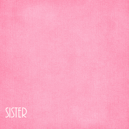 Family Collection Sister 12 x 12 Double-Sided Scrapbook Paper by SSC Designs - 15 Pack