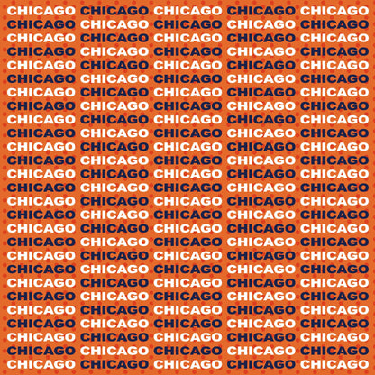 Football Season Collection Chicago On The Field 12 x 12 Double-Sided Scrapbook Paper by SSC Designs