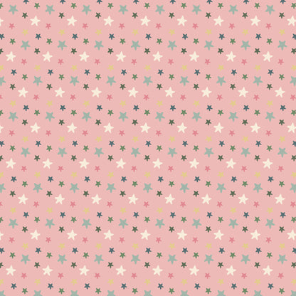 Happy Birthday Collection Party Hat Parade 12 x 12 Double-Sided Scrapbook Paper by SSC Designs - 15 Pack