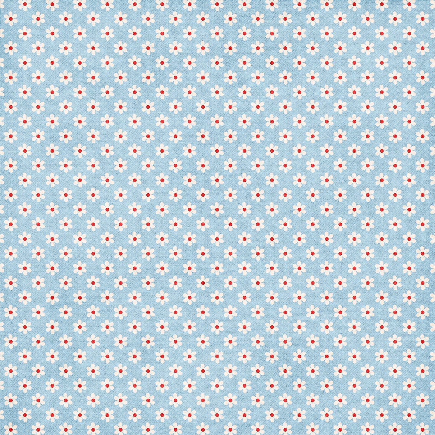 Inspired By Collection Raggedy Dolls 12 x 12 Double-Sided Scrapbook Paper by SSC Designs - 15 Pack