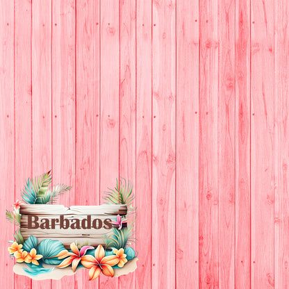 Island Life Collection Barbados 12 x 12 Double-Sided Scrapbook Paper by SSC Designs - 15 Pack