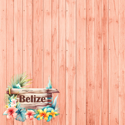 Island Life Collection Belize 12 x 12 Double-Sided Scrapbook Paper by SSC Designs - 15 Pack