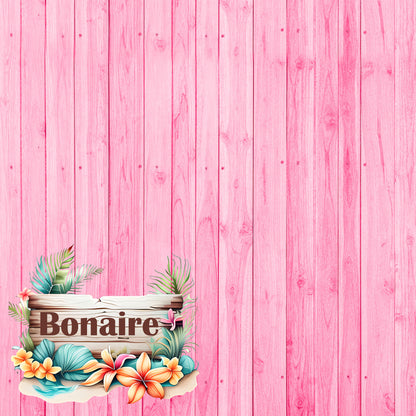 Island Life Collection Bonaire 12 x 12 Double-Sided Scrapbook Paper by SSC Designs - 15 Pack