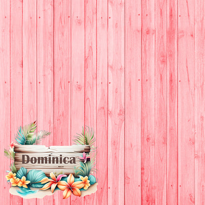Island Life Collection Dominica 12 x 12 Double-Sided Scrapbook Paper by SSC Designs - 15 Pack