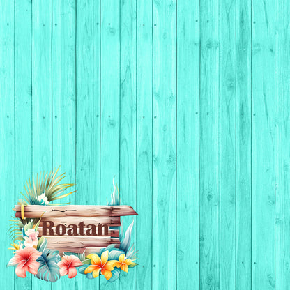 Island Life Collection Roatan 12 x 12 Double-Sided Scrapbook Paper by SSC Designs - 15 Pack