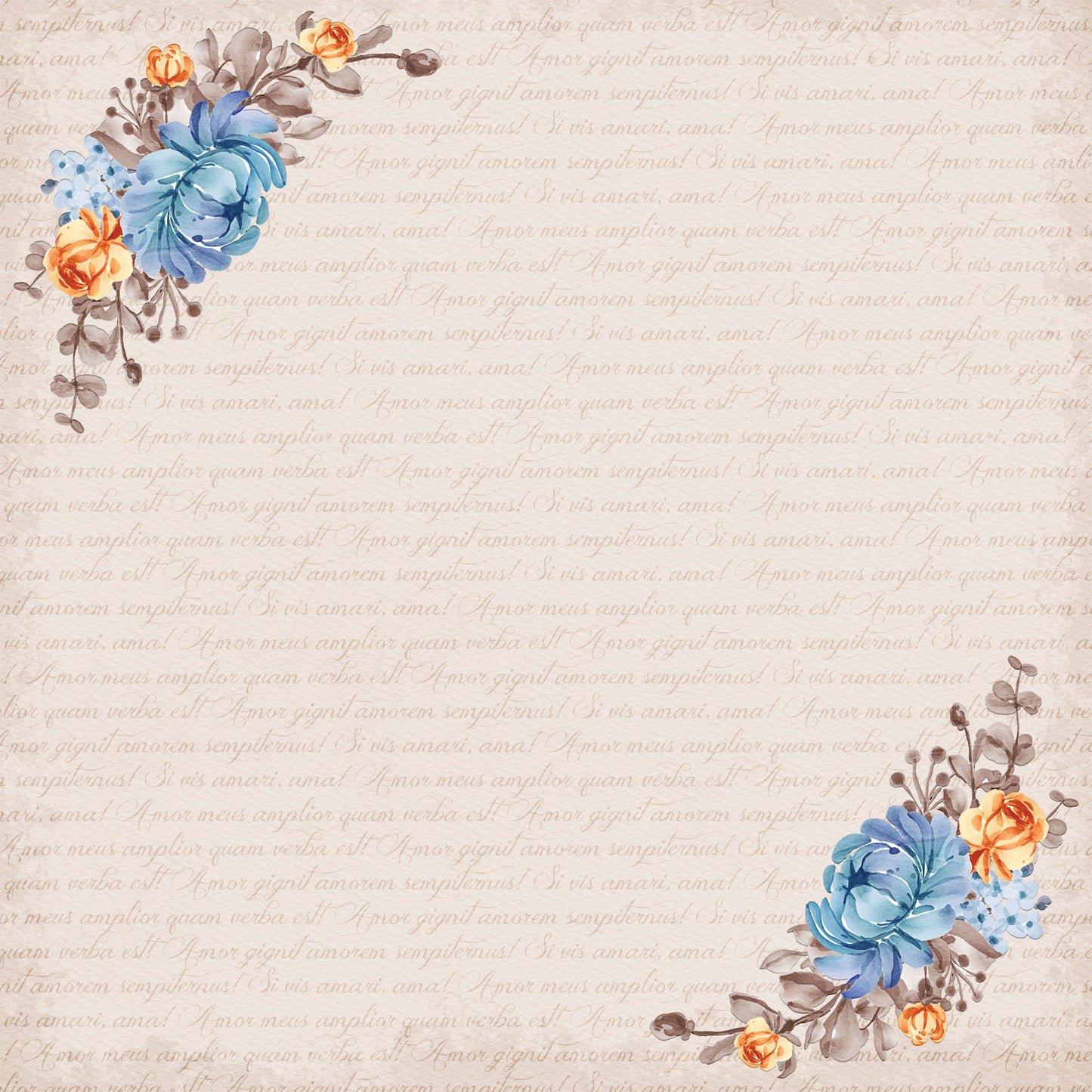 Now & Forever Collection Blushing Bride 12 x 12 Double-Sided Scrapbook Paper by SSC Designs - 15 Pack