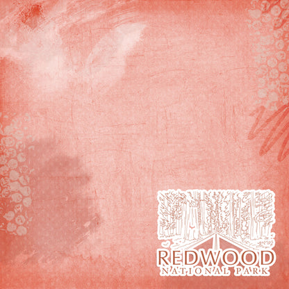 National Parks Collection Redwood National Park 12 x 12 Double-Sided Scrapbook Paper by SSC Designs - 15 Pack