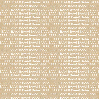 On The Farm Collection Sheep 12 x 12 Double-Sided Scrapbook Paper by SSC Designs - 15 Pack