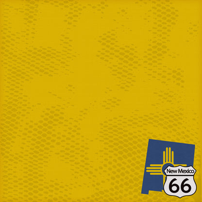 Route 66 Collection New Mexico Horizons 12 x 12 Double-Sided Scrapbook Paper by SSC Designs - 15 Pack