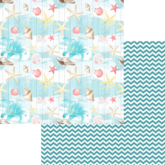 Nautical Summer Collection Seashell Collage 12 x 12 Double-Sided Scrapbook Paper by SSC Designs - 15 Pack