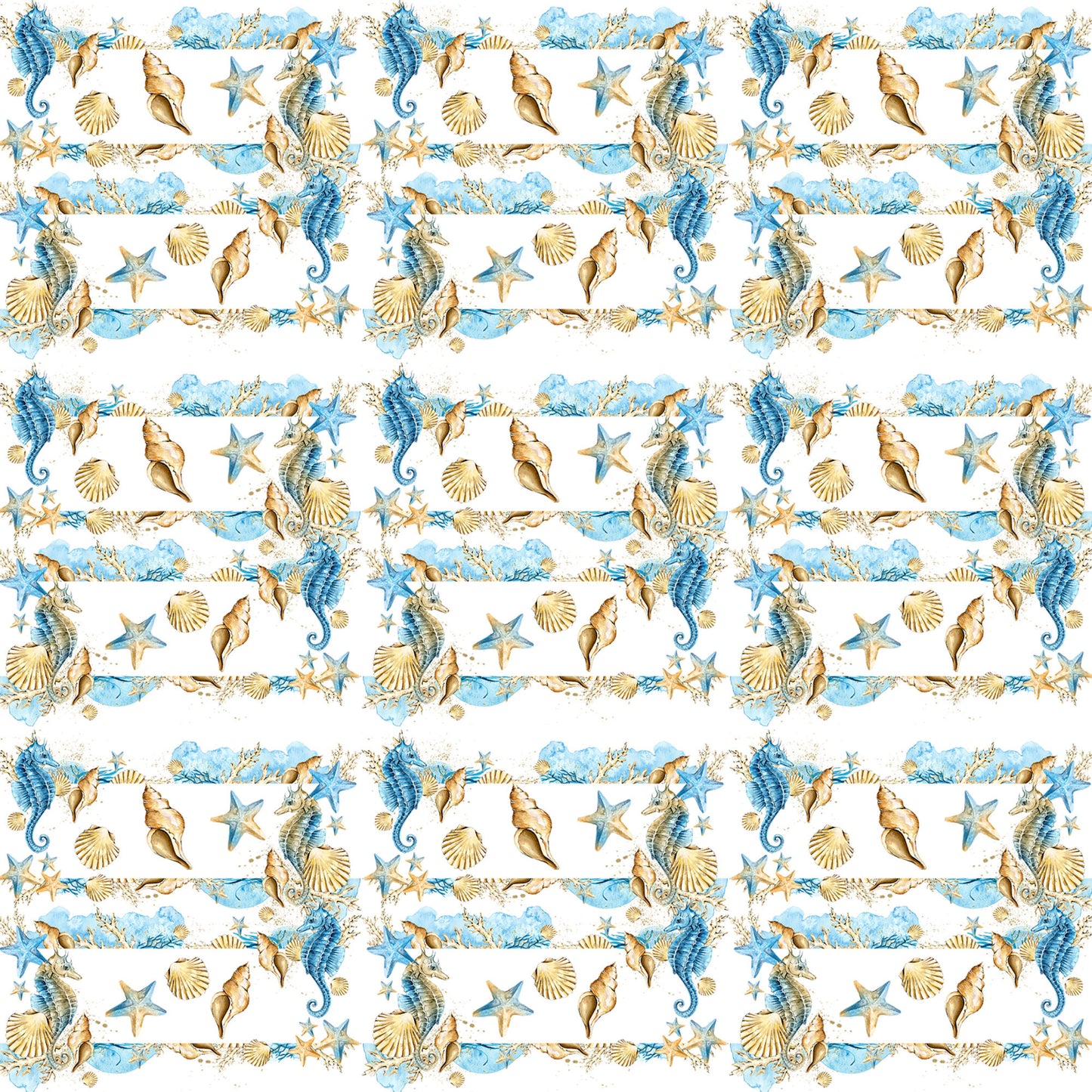 Frou Frou's Sun & Sand Collection Sea Shells In a Row 12 x 12 Double-Sided Scrapbook Paper - 15 Pack