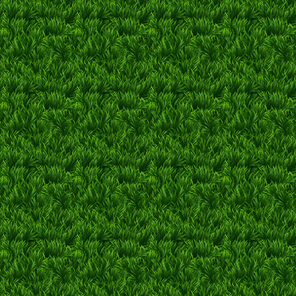 Field Day 12 x 12 Double-Sided Scrapbook Paper by SSC Designs