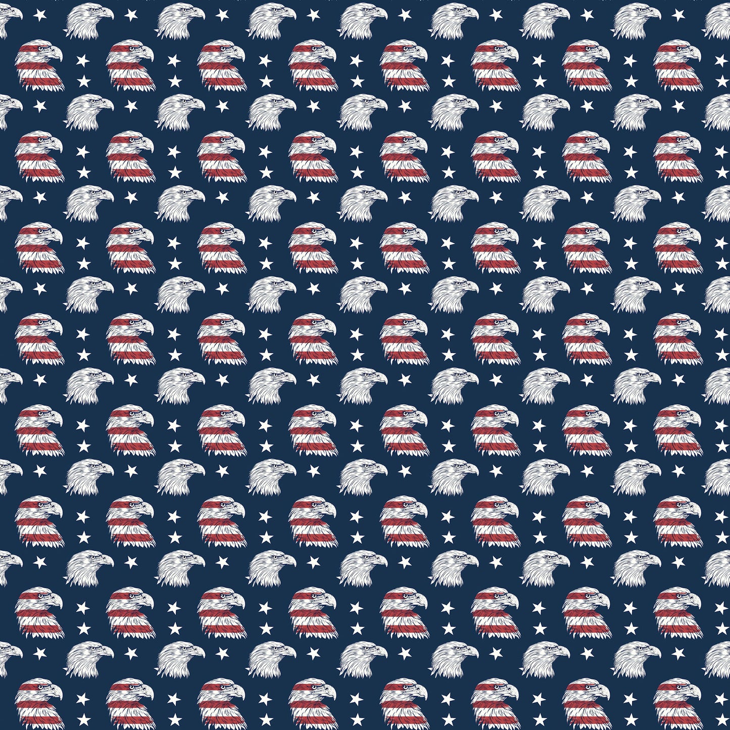 Freedom Rock 12 x 12 Double-Sided Scrapbook Paper by SSC Designs