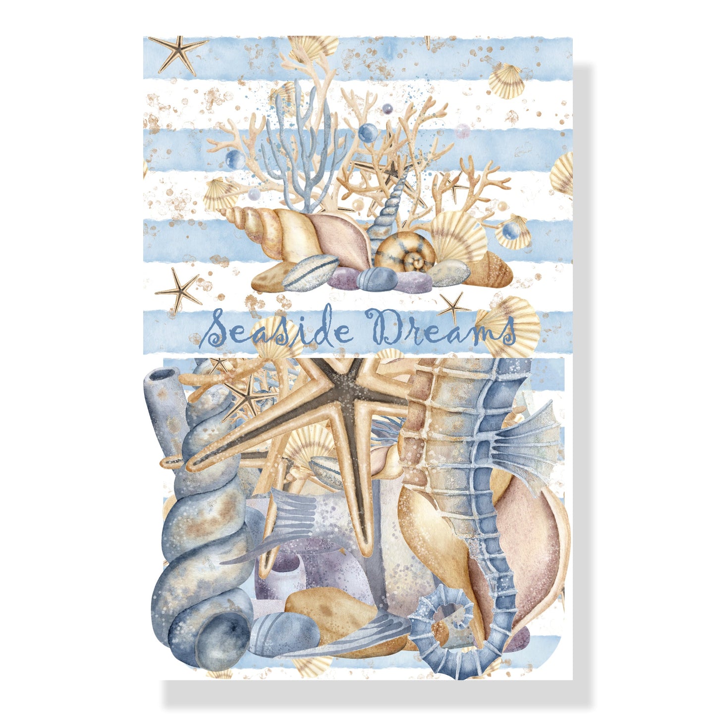 Seaside Dreams Collection Laser Cut Scrapbook Ephemera Embellishments by SSC Designs - 3 Packs