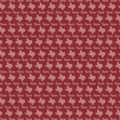 Texas Collection Texas State 12 x 12 Double-Sided Scrapbook Paper by SSC Designs - 15 Pack