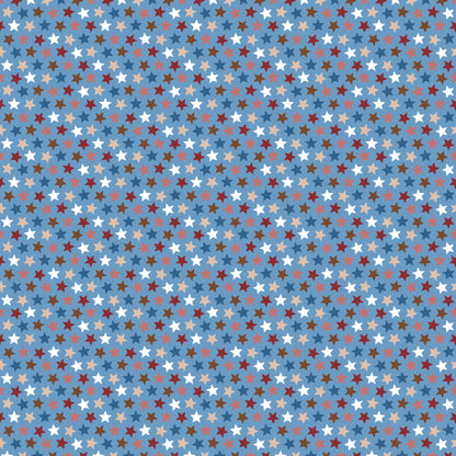 Texas Collection All Around Texas 12 x 12 Double-Sided Scrapbook Paper by SSC Designs - 15 Pack