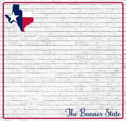 Fifty States Collection Texas 12 x 12 Double-Sided Scrapbook Paper by SSC Designs - 15 Pack