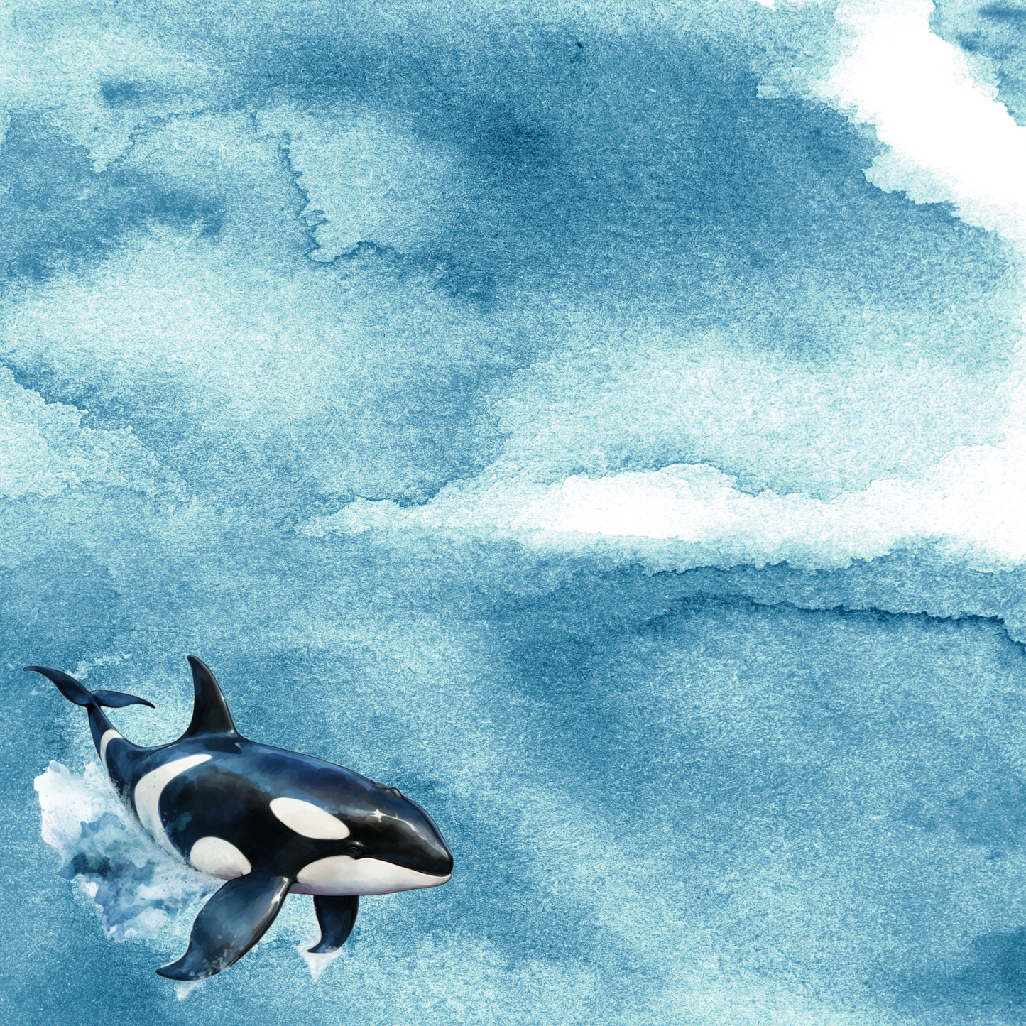 Watercolor Wildlife Collection Orca Killer Whale 12 x 12 Double-Sided Scrapbook Paper by SSC Designs - 15 Pack