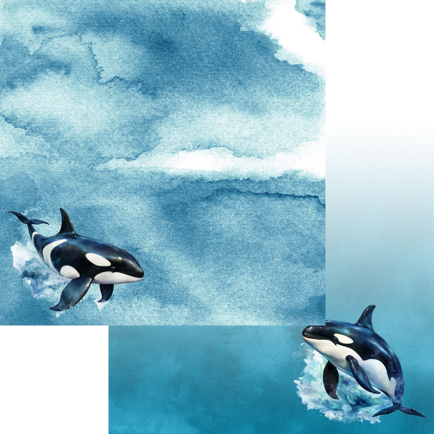 Watercolor Wildlife Collection Orca Killer Whale 12 x 12 Double-Sided Scrapbook Paper by SSC Designs - 15 Pack