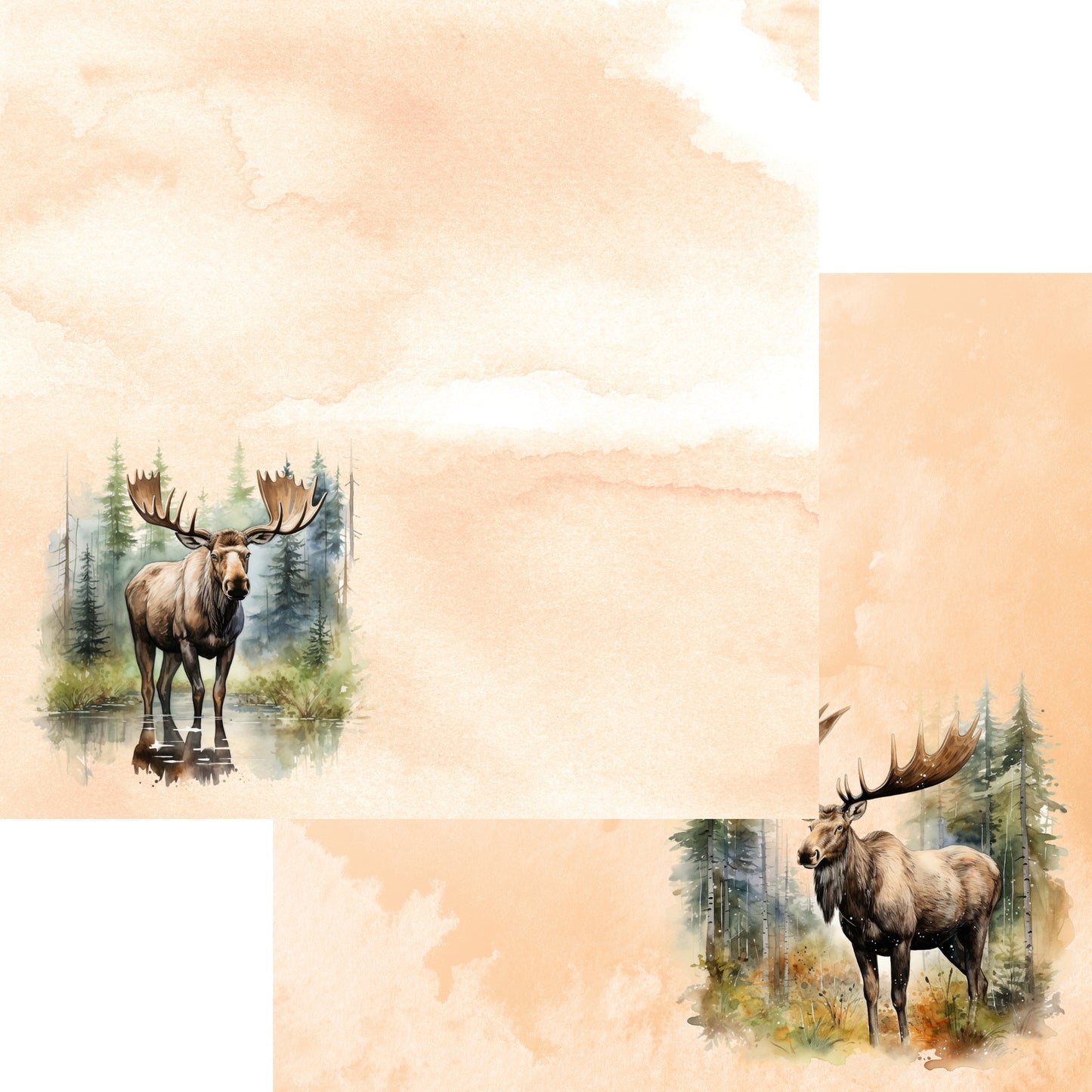 Watercolor Wildlife Collection Moose 12 x 12 Double-Sided Scrapbook Paper by SSC Designs - 15 Pack