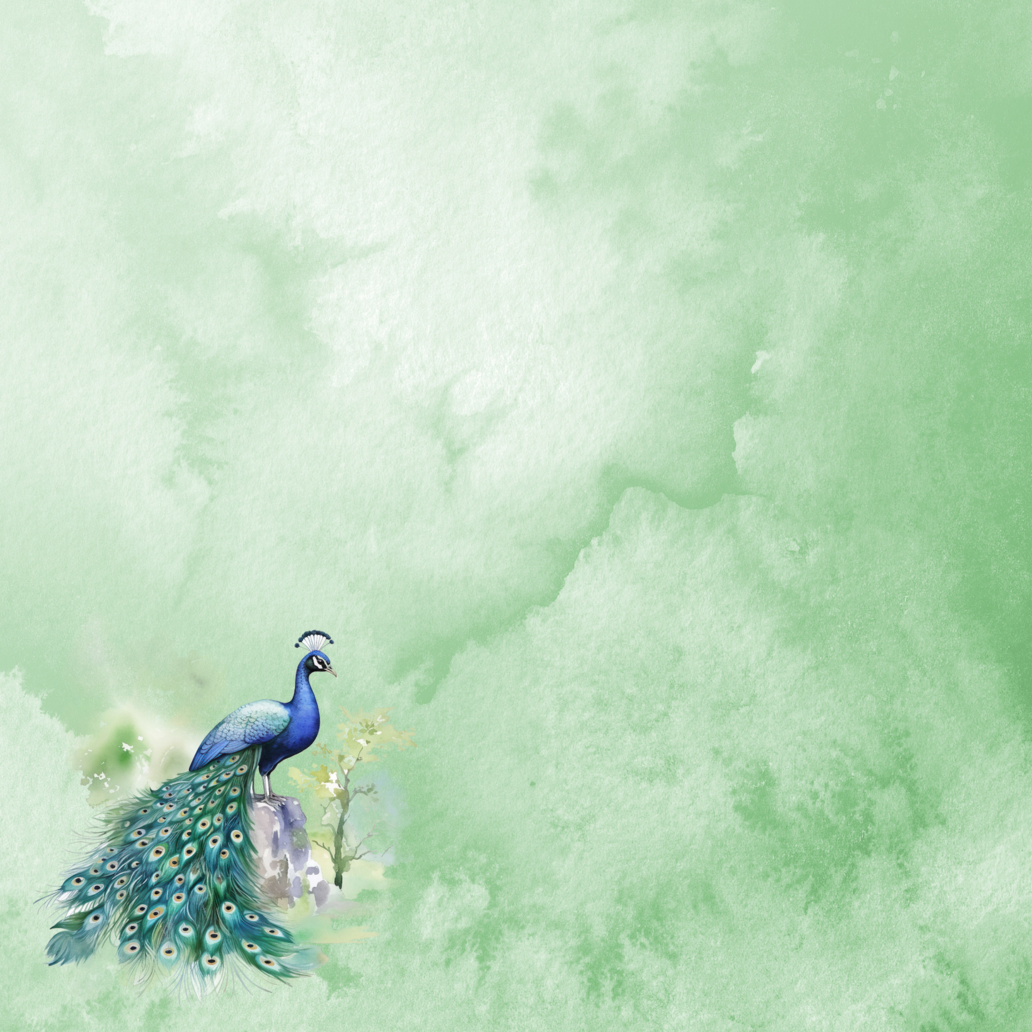 Watercolor Wildlife Collection Peacock 12 x 12 Double-Sided Scrapbook Paper by SSC Designs - 15 Pack