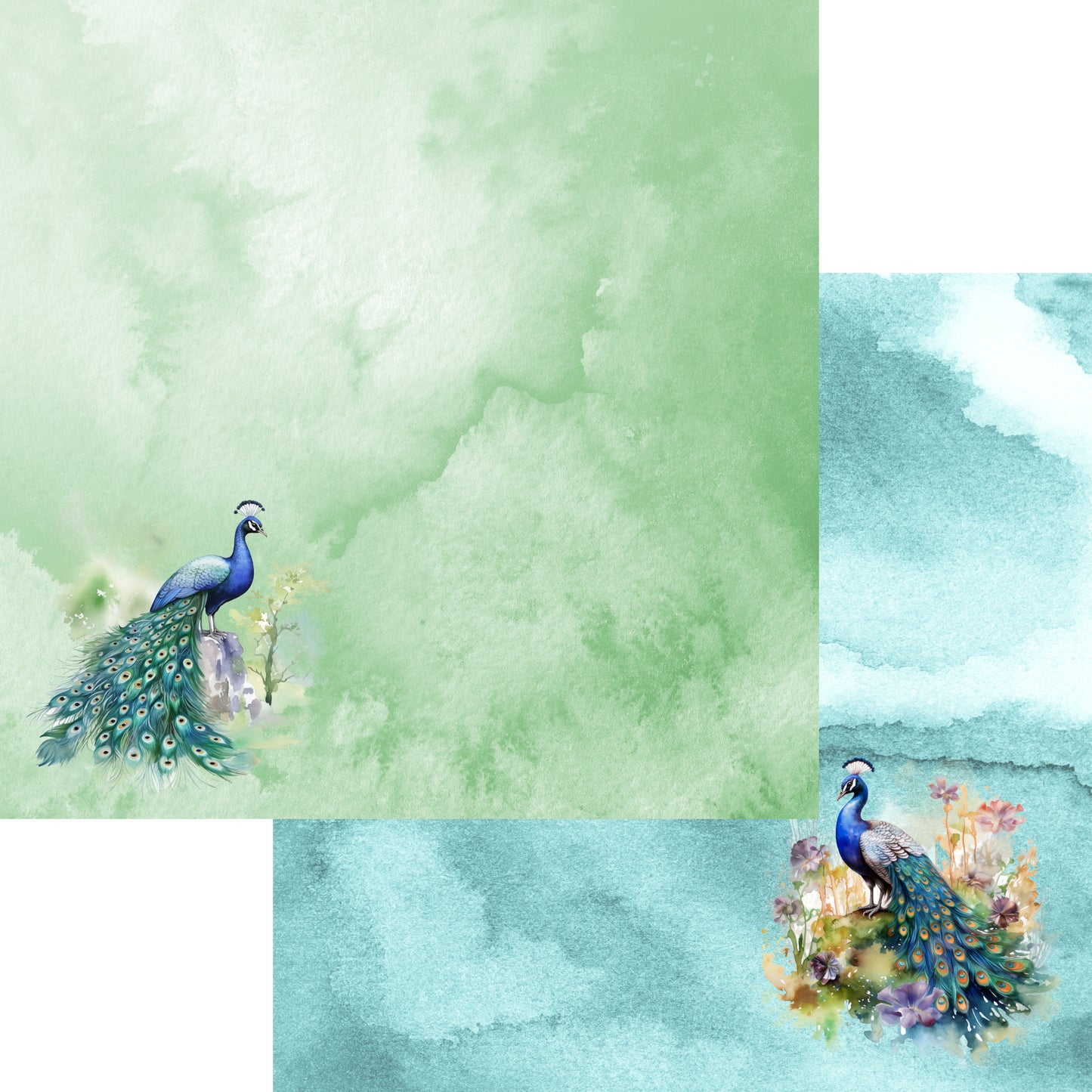 Watercolor Wildlife Collection Peacock 12 x 12 Double-Sided Scrapbook Paper by SSC Designs - 15 Pack