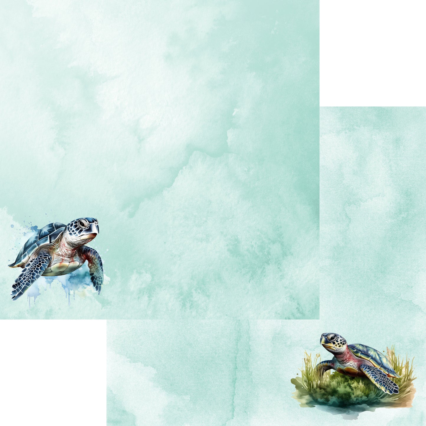 Watercolor Wildlife Collection Sea Turtle 12 x 12 Double-Sided Scrapbook Paper by SSC Designs - 15 Pack